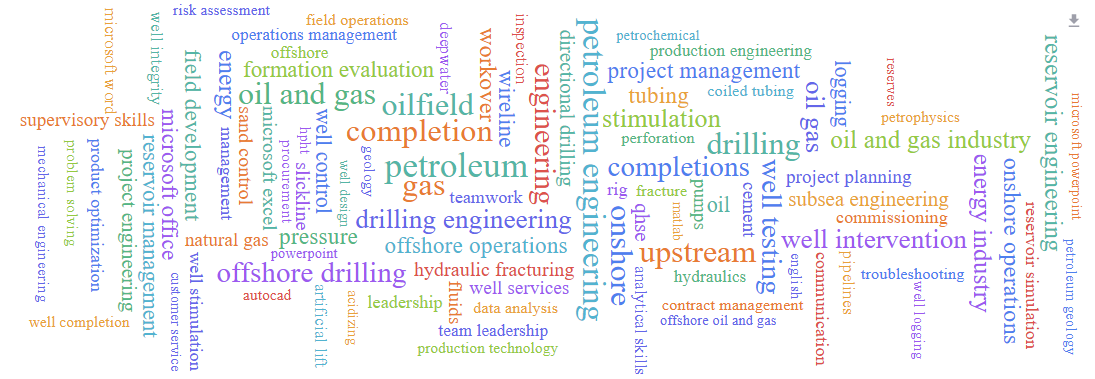 Skills word cloud of top Well Services Engineer applicants